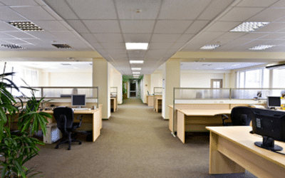 The Impact of Commercial Carpeting on Employee Productivity