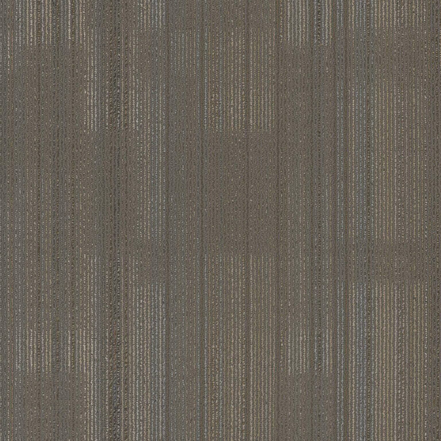 4769 | CCC