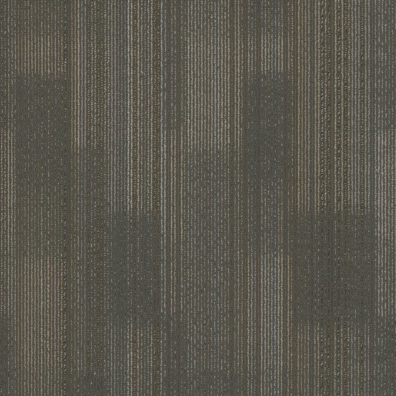 4769 | CCC